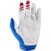 FOX DIRTPAW RACE GLV 2017 Blue2.jpg